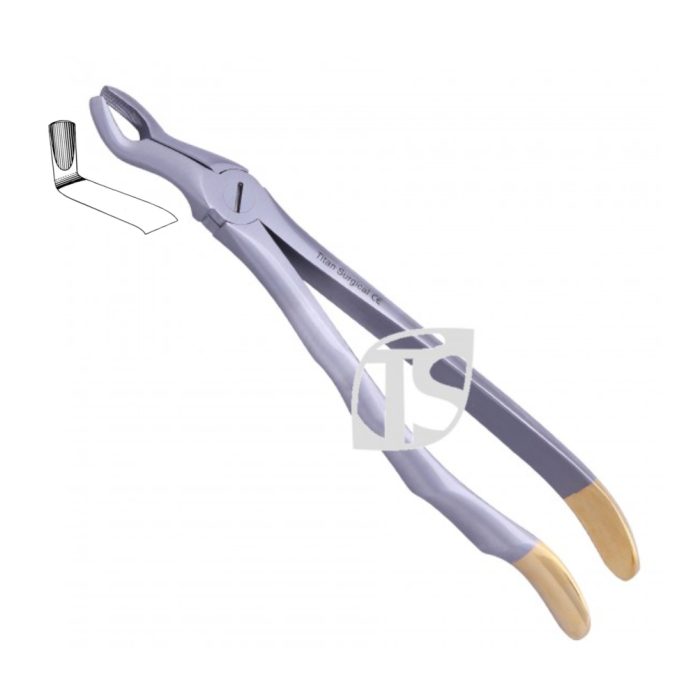 Upper Third Molars