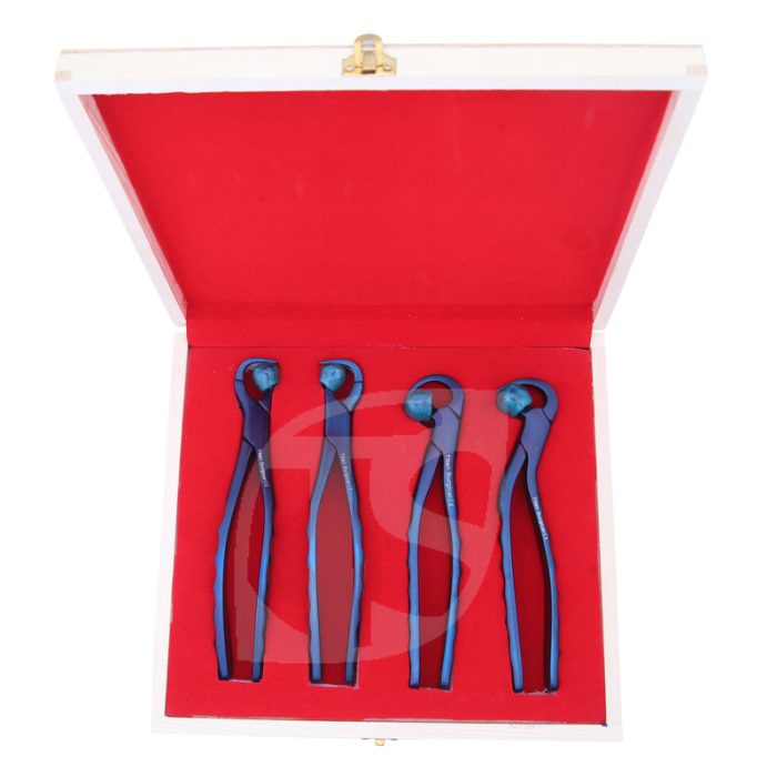 Physics Dental Forceps Standard set